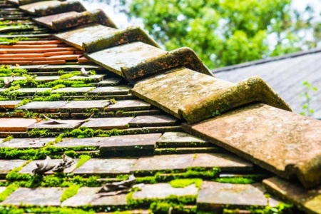 D&eacute;moussage de toiture : quand et pourquoi le r&eacute;aliser ?